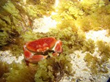 Pousada em Fernando de Noronha
